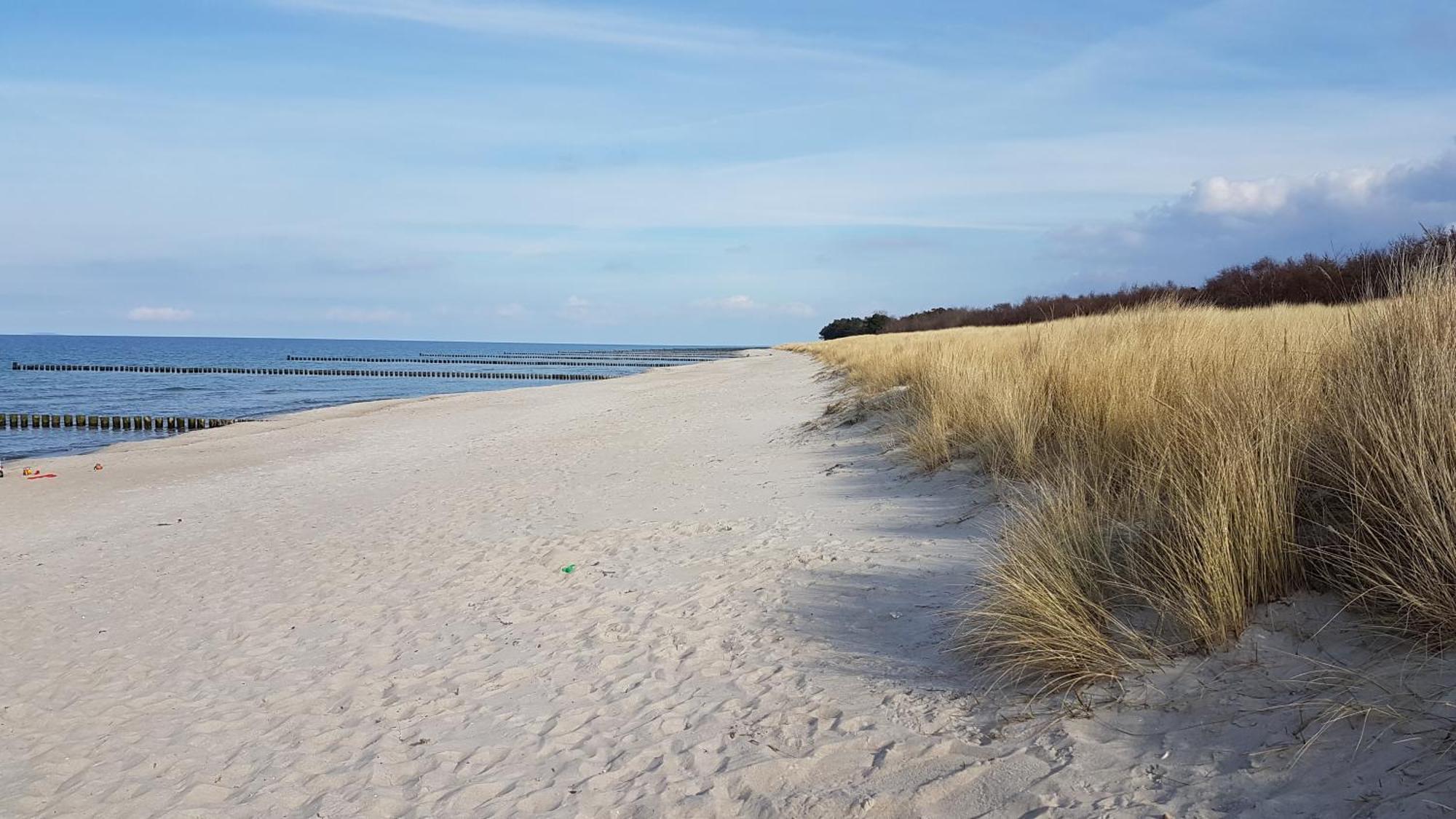 Achtern Diek Haus 12A Wohnung 7 Zingst Zewnętrze zdjęcie